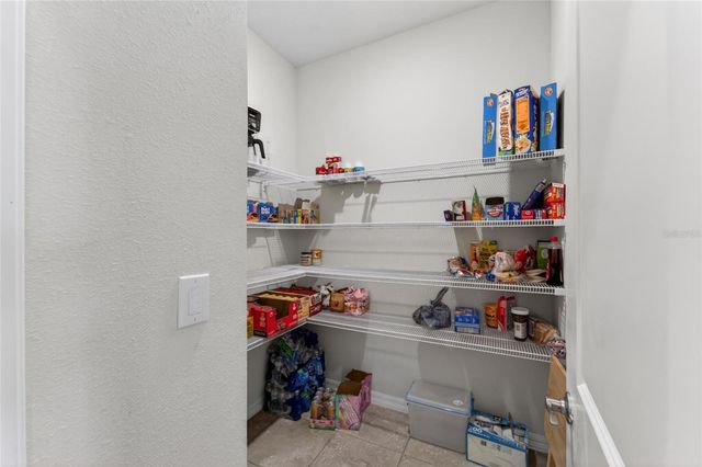 13519 PALMERA VISTA DRIVE, Riverview, FL 33579