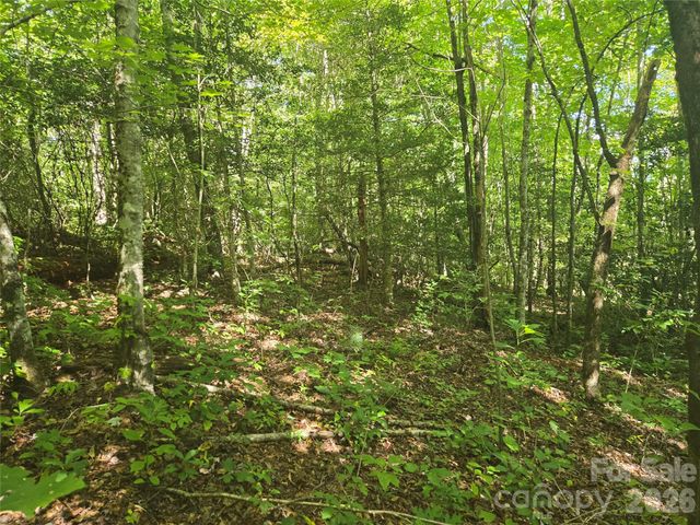 000 Sugar Fork Road, Sylva, NC 28779