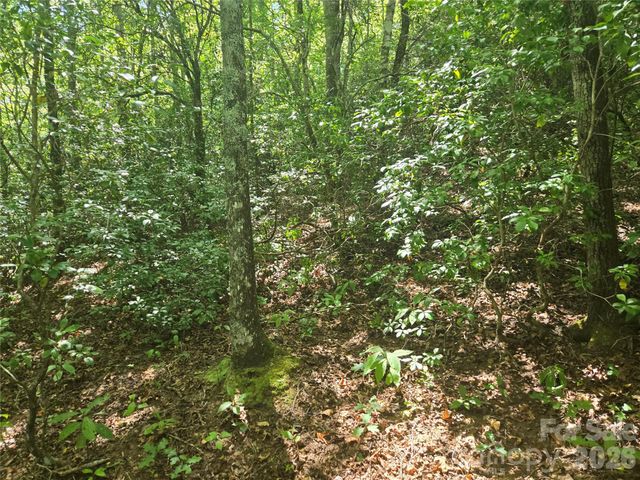 000 Sugar Fork Road, Sylva, NC 28779