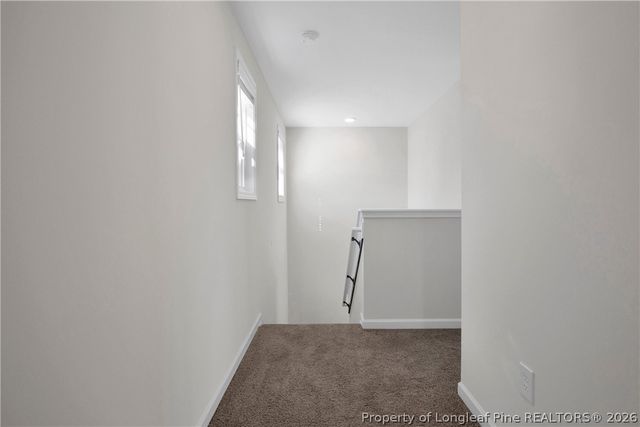 208 Buggy Top Lane, Autryville, NC 28318