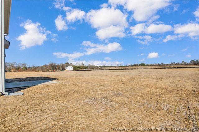 208 Buggy Top Lane, Autryville, NC 28318