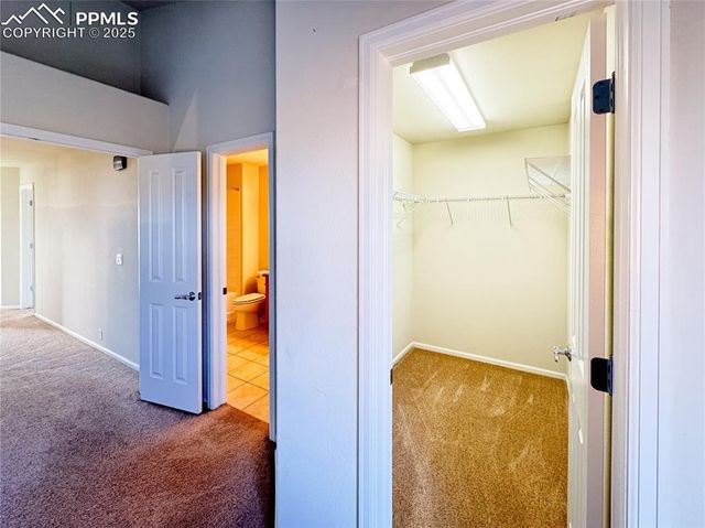 7077 Red Sand Grove, Colorado Springs, CO 80923