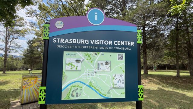 725 CHRISTIANSEN DR, Strasburg, VA 22657