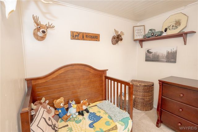 304 Erin Road, Ridgeway, NY 14103