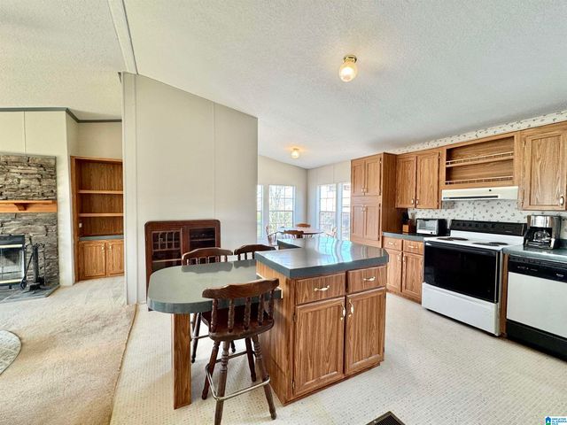 166 COUNTY ROAD 813, Wedowee, AL 36278