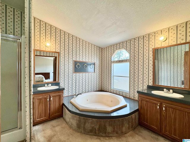 166 COUNTY ROAD 813, Wedowee, AL 36278