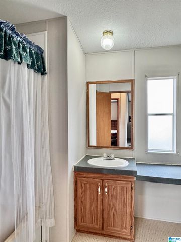 166 COUNTY ROAD 813, Wedowee, AL 36278