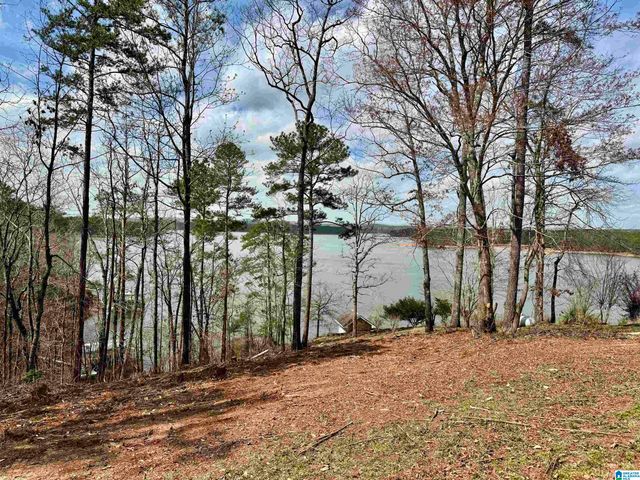 166 COUNTY ROAD 813, Wedowee, AL 36278