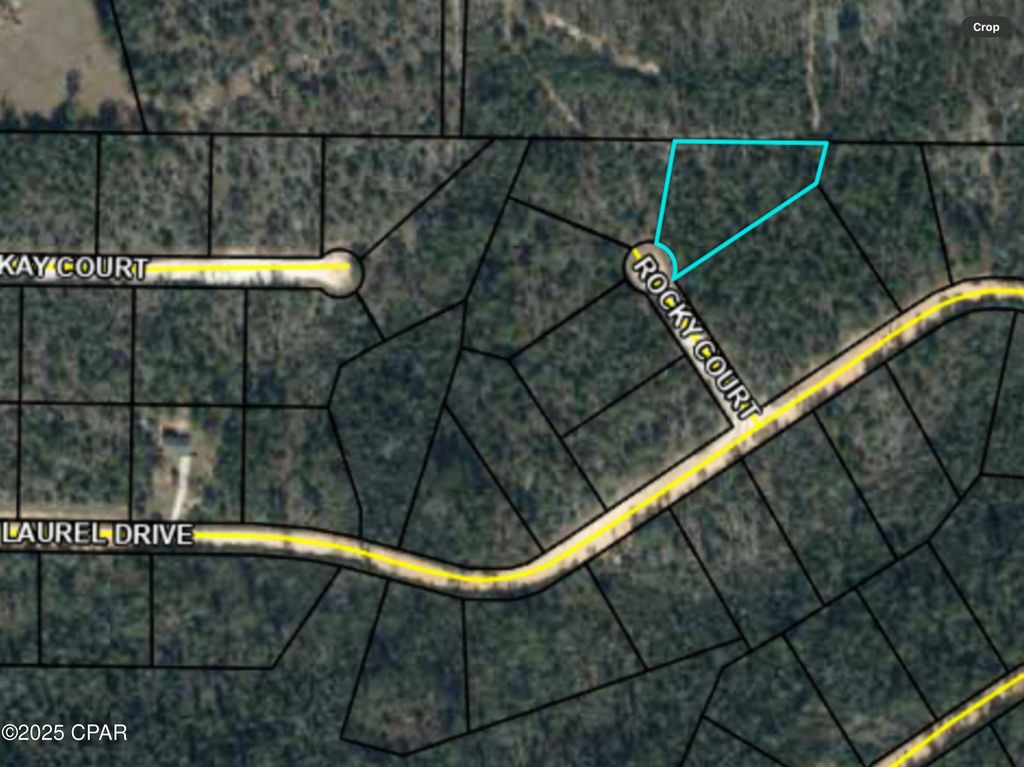 0000 Rocky Court, Alford, FL 32420