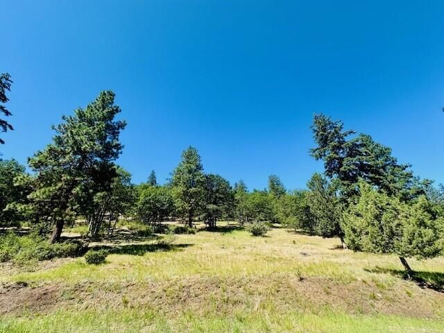 Coopers Hawk Road Lot 862, Klamath Falls, OR 97601