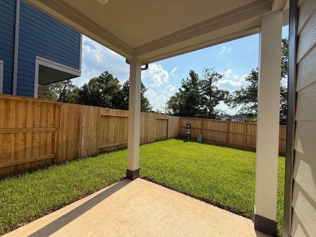 155 W Coralburst Loop, Montgomery, TX 77316