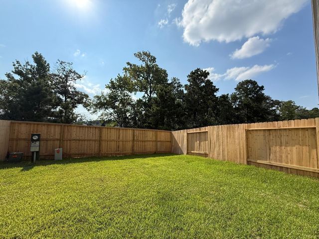 155 W Coralburst Loop, Montgomery, TX 77316