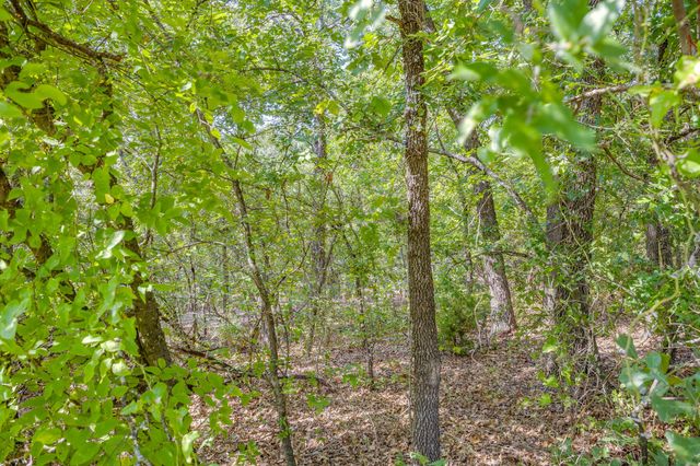 1129 Crazy Horse Trail, Burleson, TX 76028