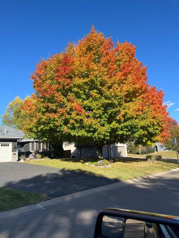 4153 146th Avenue NW, Andover, MN 55304