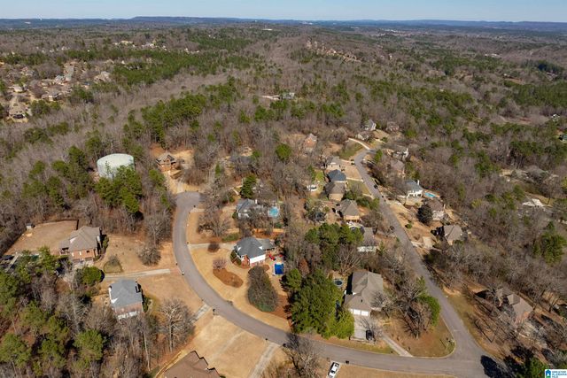 114 CHESTNUT FOREST CIRCLE, Helena, AL 35080