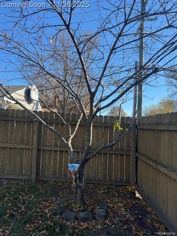 23704 Couzens Avenue, Hazel Park, MI 48030