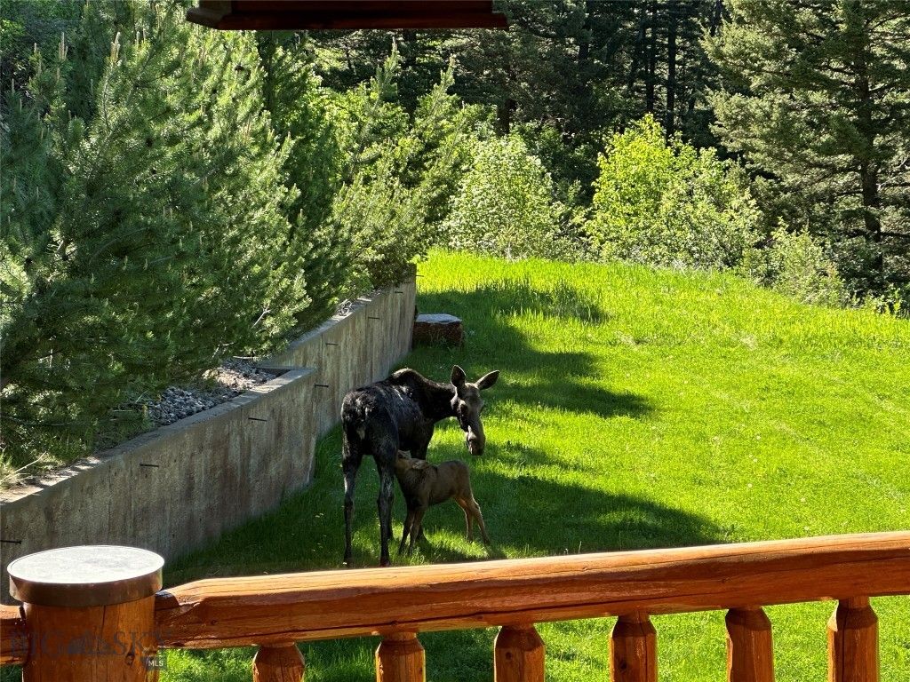78 Lake Drive, Livingston, MT 59047 photo 73