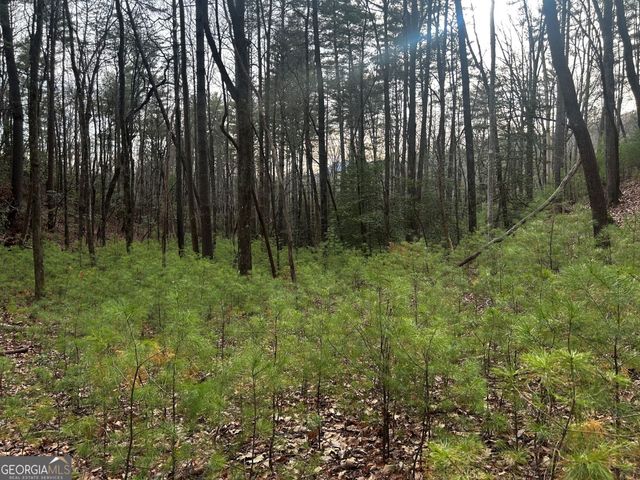 0 Corinth Church Road, Cleveland, GA 30528