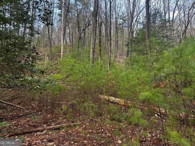 0 Corinth Church Road, Cleveland, GA 30528