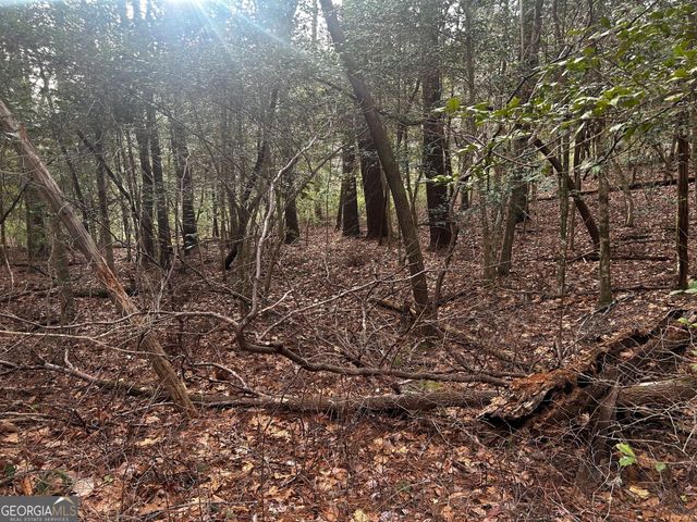 0 Corinth Church Road, Cleveland, GA 30528