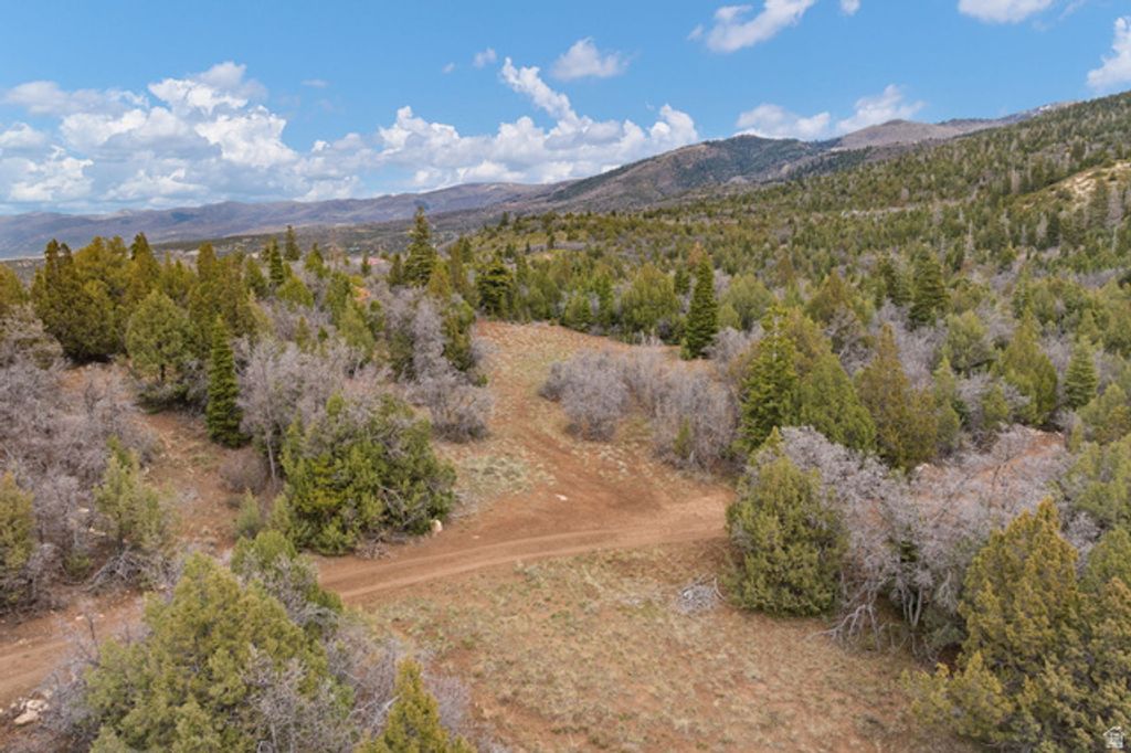 Image 50 of property listing at 116 N OAK CREST DR, Mt Pleasant, UT 84647