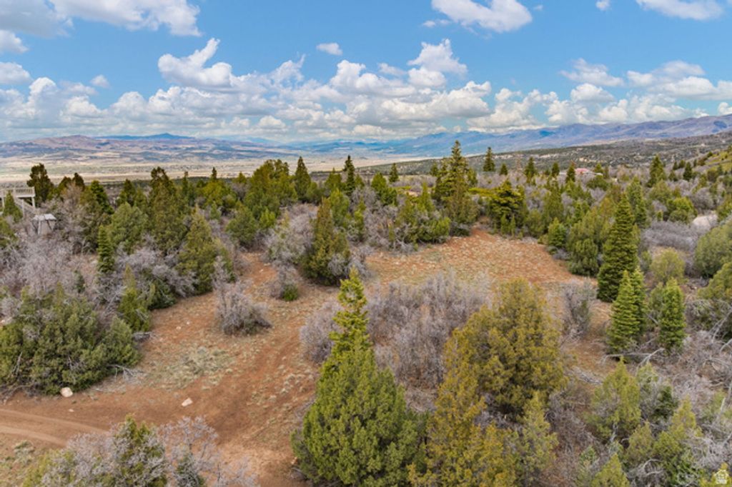 Image 51 of property listing at 116 N OAK CREST DR, Mt Pleasant, UT 84647
