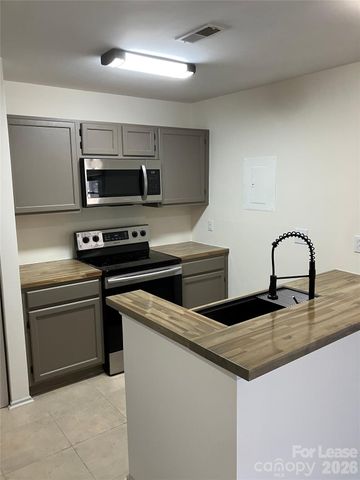 18809 Vineyard Point Lane, Cornelius, NC 28031