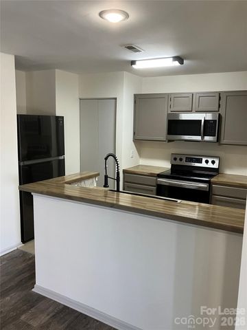 18809 Vineyard Point Lane, Cornelius, NC 28031