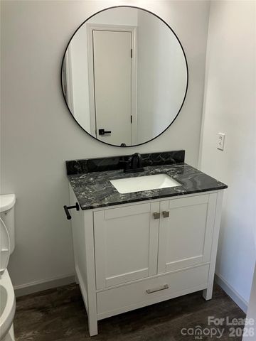 18809 Vineyard Point Lane, Cornelius, NC 28031