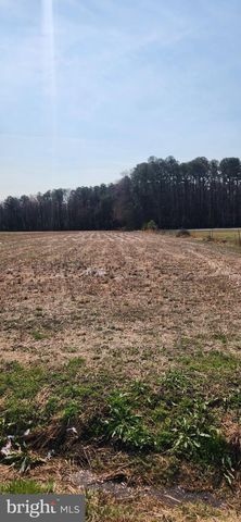 LOT 1 PEPPERBOX RD, Laurel, DE 19956