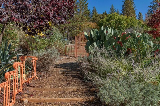 15579 Jesus Maria, Mokelumne Hill, CA 95245