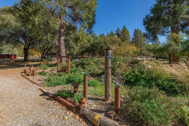 15579 Jesus Maria, Mokelumne Hill, CA 95245