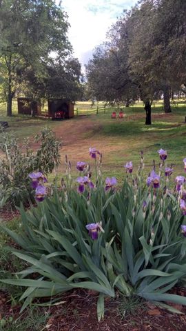 15579 Jesus Maria, Mokelumne Hill, CA 95245