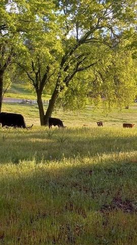 15579 Jesus Maria, Mokelumne Hill, CA 95245