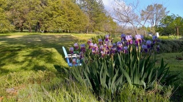 15579 Jesus Maria, Mokelumne Hill, CA 95245