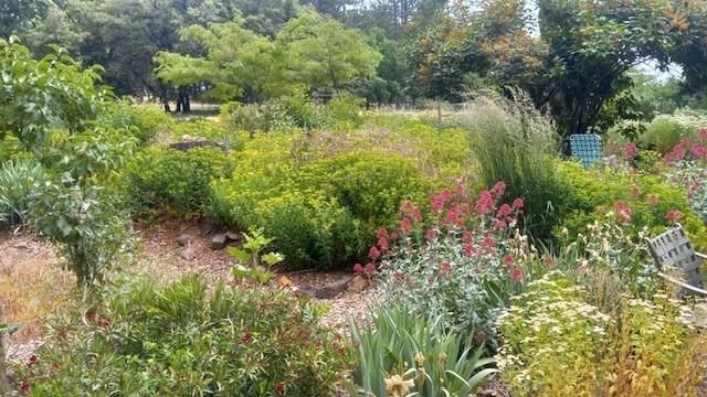 15579 Jesus Maria, Mokelumne Hill, CA 95245