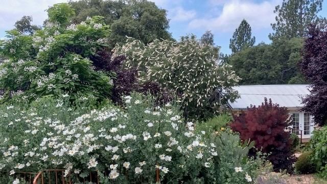 15579 Jesus Maria, Mokelumne Hill, CA 95245