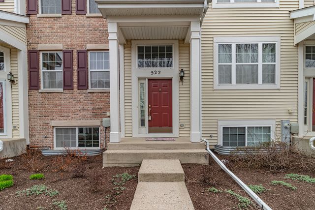 522 Richard Brown Boulevard, Volo, IL 60073