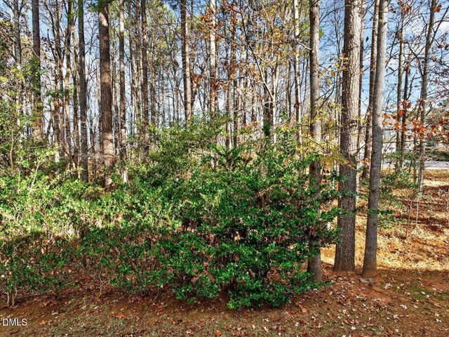 3546 E Cotton Gin Drive, Clayton, NC 27527