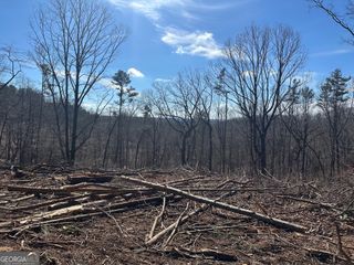 500 Chapman Ridge Lane, Dahlonega, GA 30533