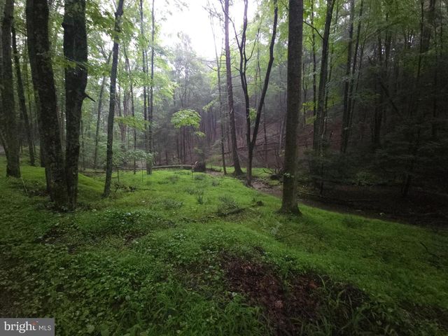 0 SPRIGGLE HOLLOW RD, Elliottsburg, PA 17024