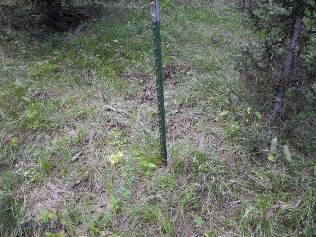 TBD Appaloosa Trail, Gallatin Gateway, MT 59730 photo 4