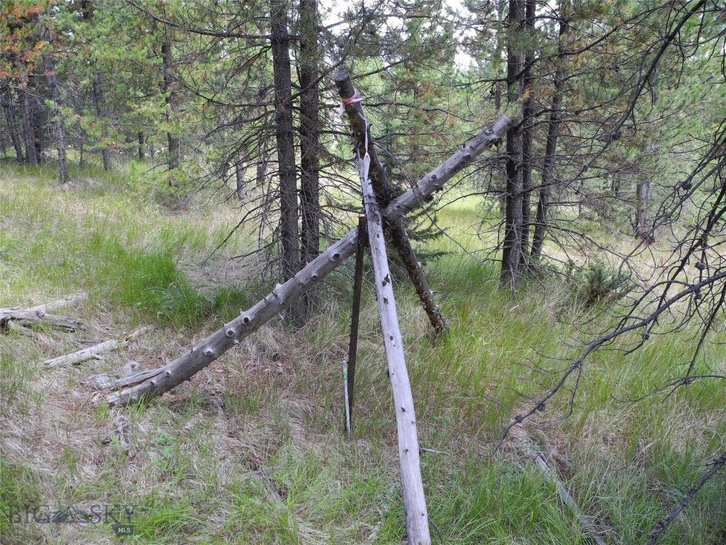 TBD Appaloosa Trail, Gallatin Gateway, MT 59730 photo 5