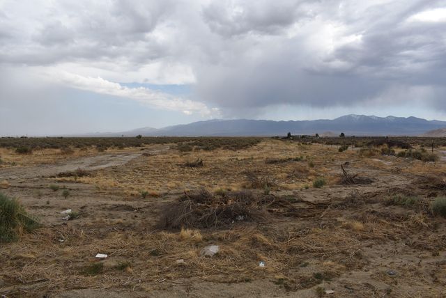 24500 E Avenue P, Palmdale, CA 93591