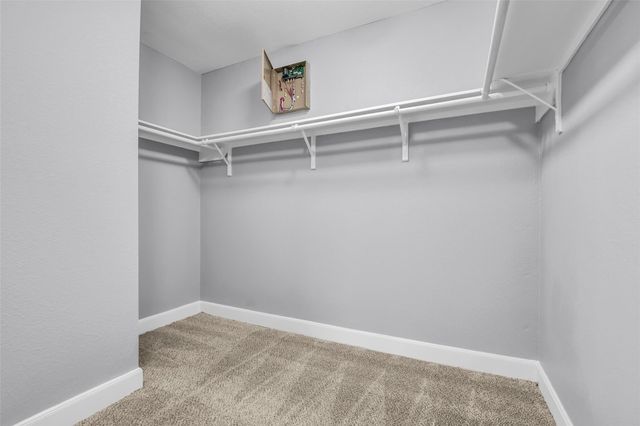 2707 Volute Court, Houston, TX 77038