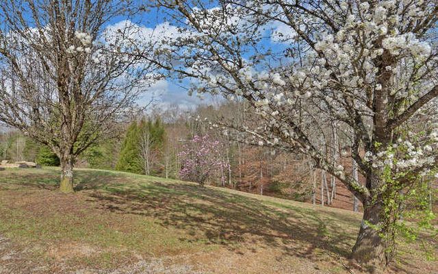 140 Newman Road B, Farner, TN 37333