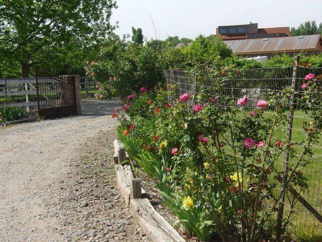 350 Applewood Road, Corrales, NM 87048