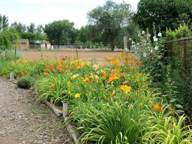 350 Applewood Road, Corrales, NM 87048