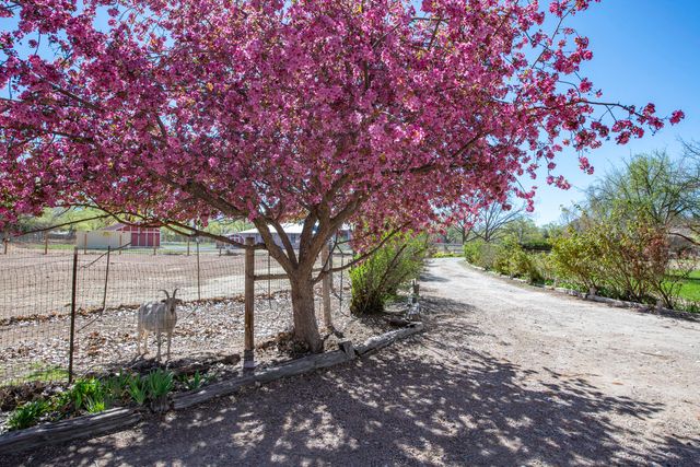 350 Applewood Road, Corrales, NM 87048