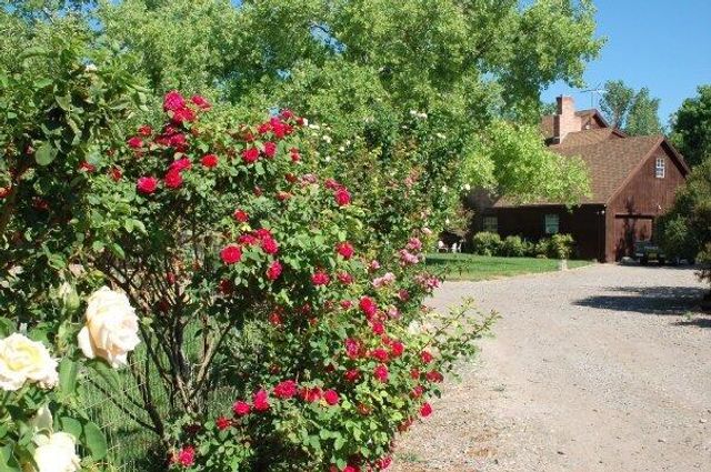 350 Applewood Road, Corrales, NM 87048